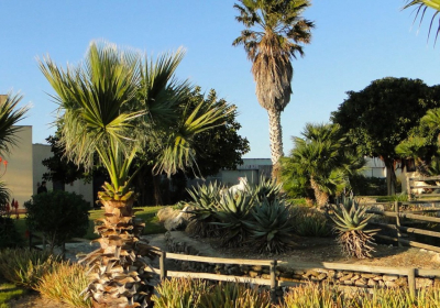 Agriturismo Il Giardino Delle Aloe